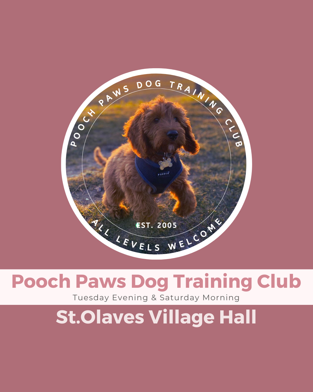Dog training class at Pooch Paws, St Olaves, Norfolk